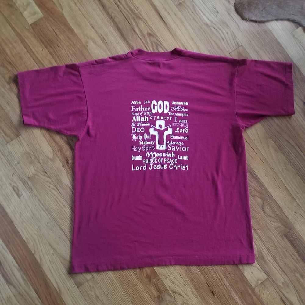 Vintage 1990's single stich Best Fruit of the Loom Michigan Lutheran College Tee